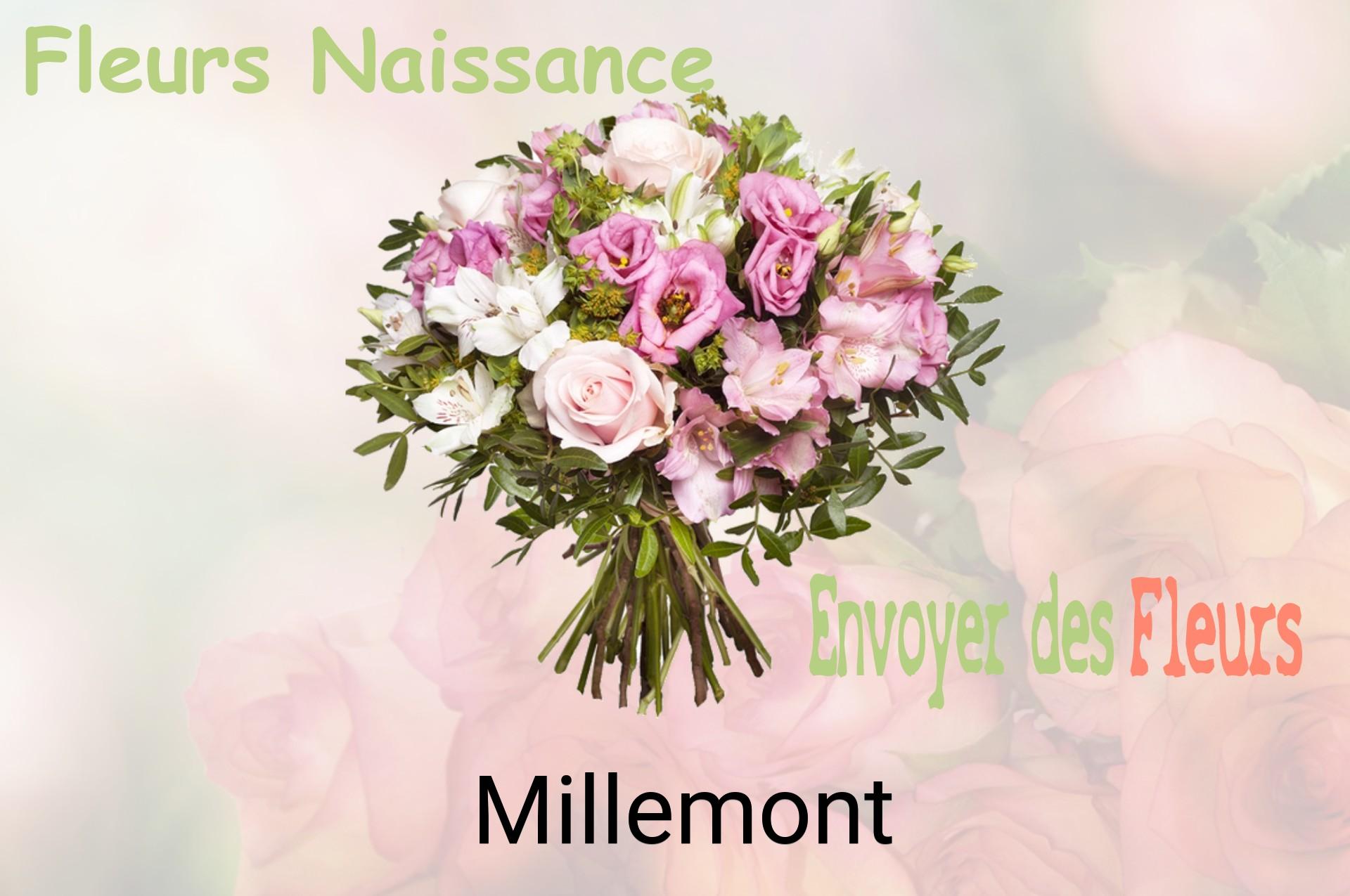 Bouquet de fleurs de naissance livré à Millemont